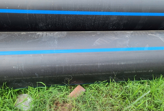 HDPE TRƠN